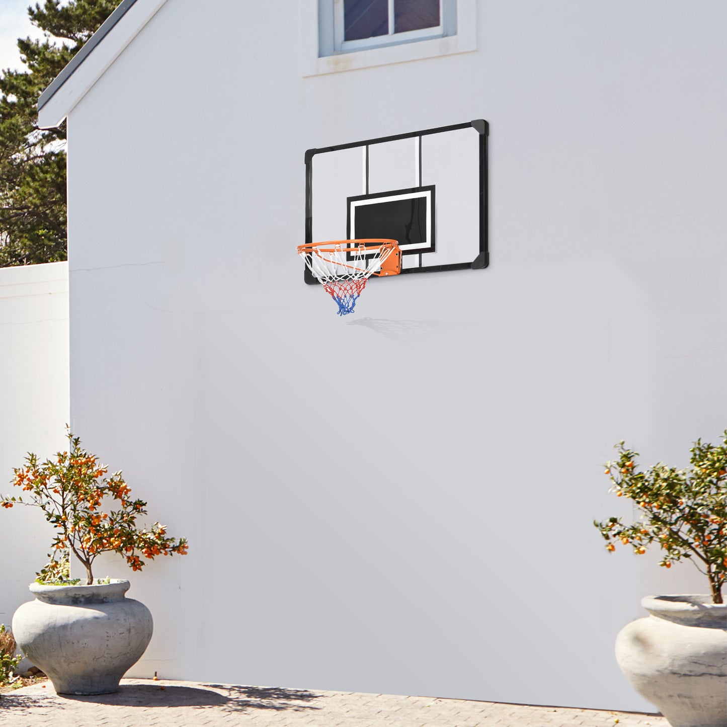 Wall Mounted Basketball Hoop
